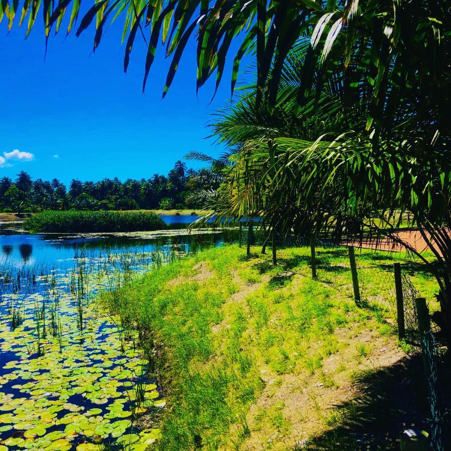 Reserva Do Paiva - A Melhor Casa Para Temporada Recife Exterior foto