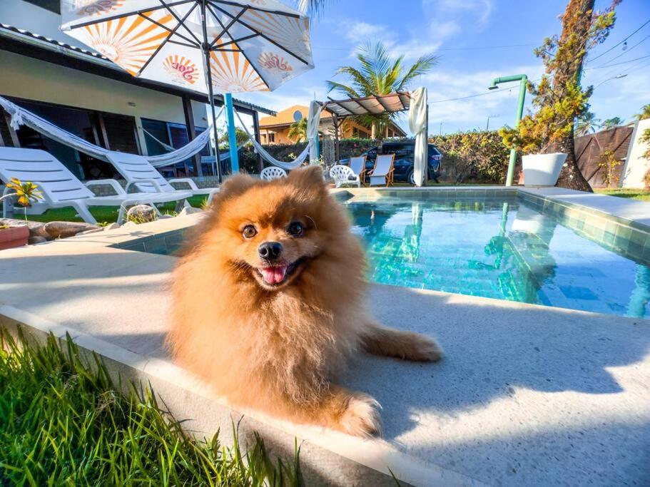 Reserva Do Paiva - A Melhor Casa Para Temporada Recife Exterior foto